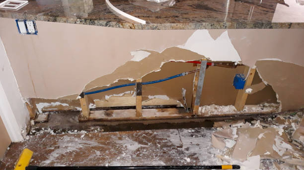 Best Water damage restoration near me  in Walker, MI