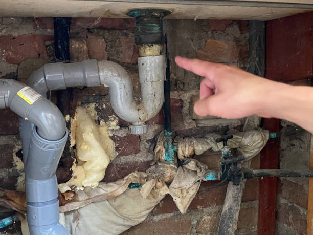 Best Water damage restoration experts  in Walker, MI