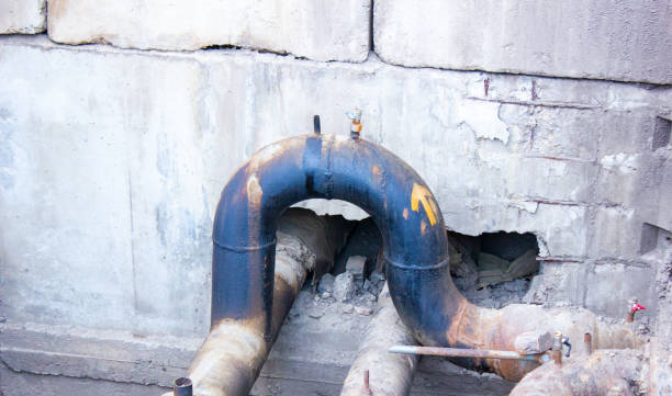 Best Water damage cleanup near me  in Walker, MI